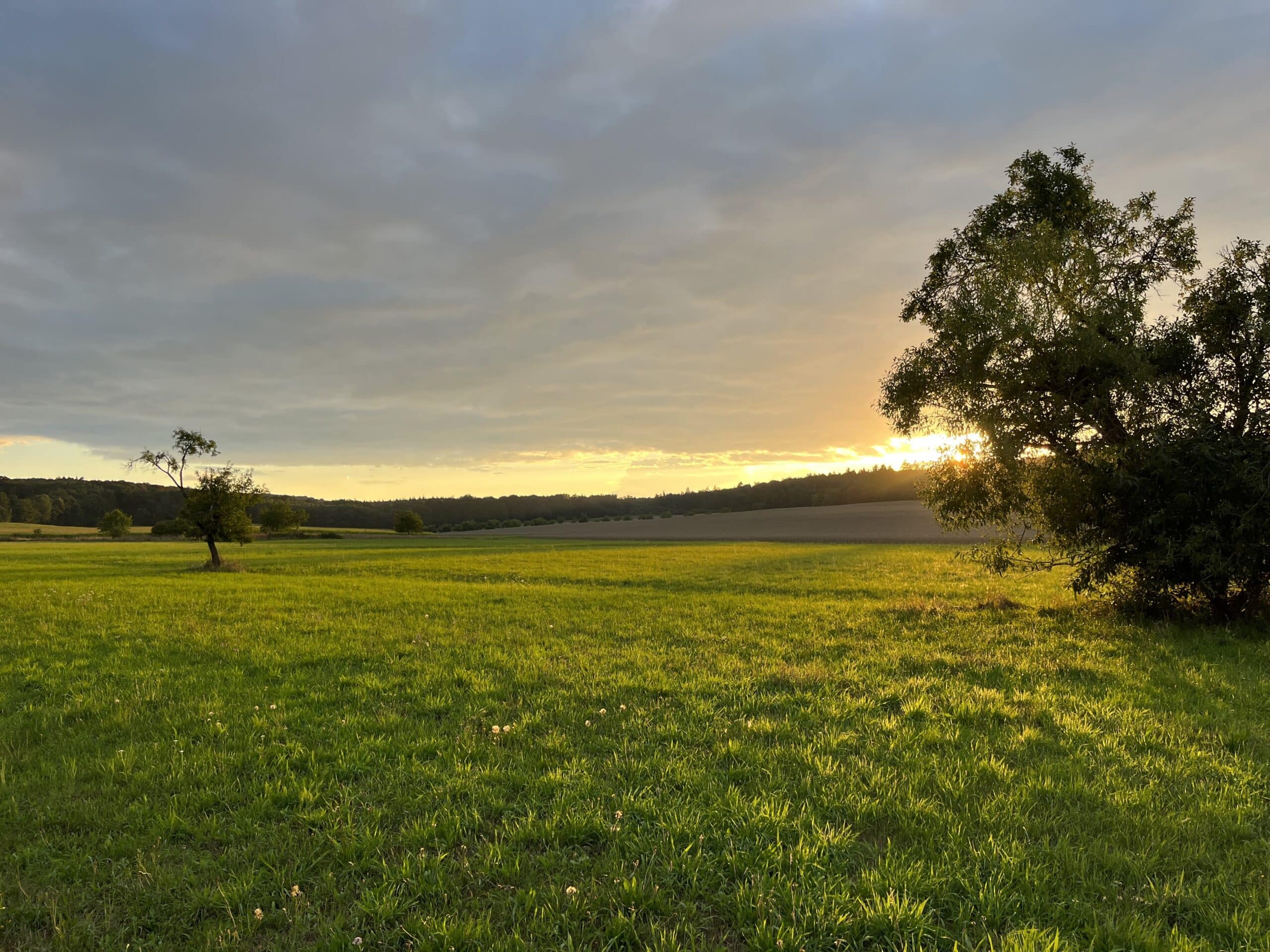 Teensweek 2023 © CVJM Praiseland e.V.