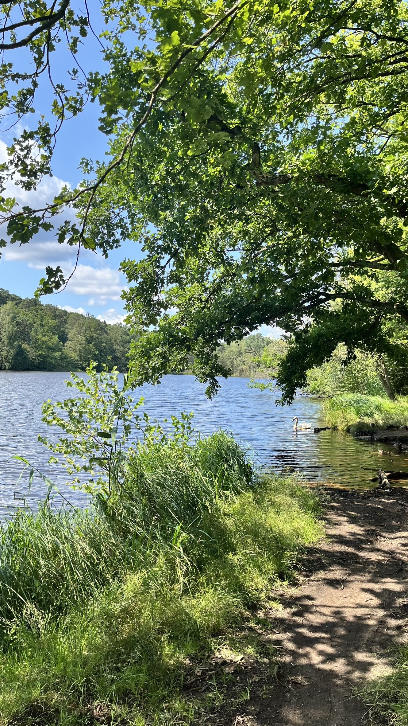 Daycamp KL 2024 © CVJM Praiseland e.V. 